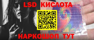прущие грибы Кингисепп