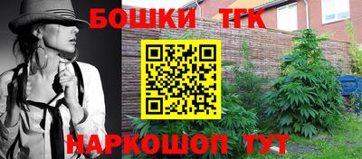 прущие грибы Кингисепп