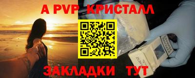 прущие грибы Кингисепп