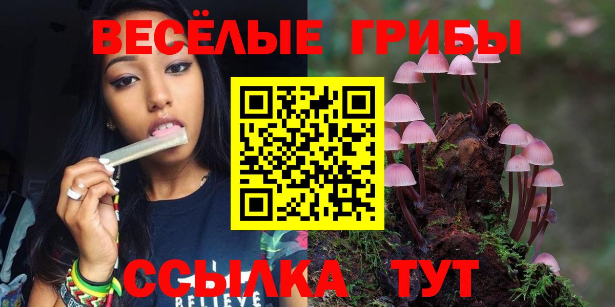 Галлюциногенные грибы мицелий Канаш