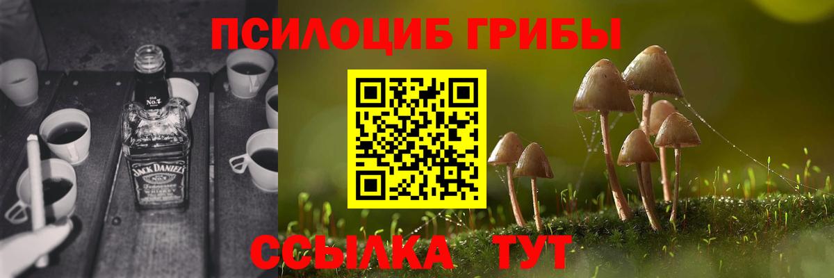 Галлюциногенные грибы мицелий  Вход с VPN  как найти   Канаш  Псилоцибиновые грибы MAGIC MUSHROOMS 